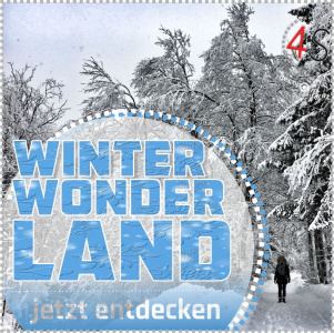 Winter Wonder Sale