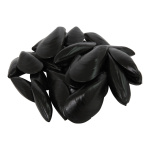 Muschel 24Stck./Btl., Kunststoff Größe: Farbe: schwarz    #