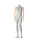 Darrol weiblich 700-SERIE, kopfloses Damen Mannequin mit flexiblen Holzarmen und Hals-Lock System, grau/beige