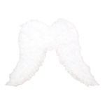 Aile dange  vraie plumes Color: blanc Size: 70x50cm