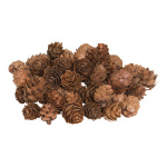 Mini cones 100g - Material: wood - Color: brown - Size: