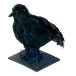 Corbeau  polystyrène / plumes Color: noir Size:...