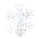 Flocon de neige  en 2cm natte de neige Color: blanc Size:...