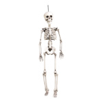 Skeleton  - Material: plastic - Color: beige - Size: 60x18cm