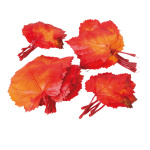 Feuilles de vigne 36pcs./sachet, soie artificielle...