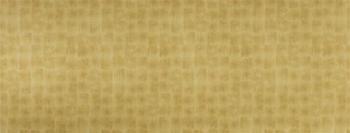 Wanddekorplatte DM LUXURY Gold qm: 2,6  Abmessung [mm]: 2600x1000x1 Wandpaneel-Blickfang  in mehreren Ausführungen