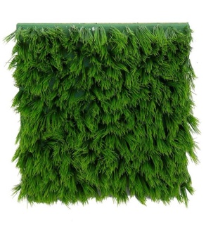 Grasplatte im Holzrahmen, 50x50x9cm