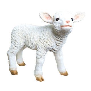 Lamb, standing polyresin, for in- and outdoor     Size: 45x35x17cm    Color: white