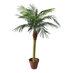 Phoenix palm in pot x11, 523 leaves, artificial silk, PVC...