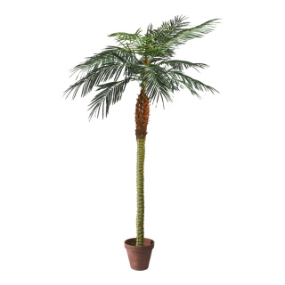 Phoenix-Palme im Topf 14-fach, 782 Blätter, Kunststoff, Kunstseide Größe:210cm Farbe: grün Spedition   #