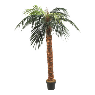 Phönix-Palme im Topf Kunststoff, Kunstseide Größe:180cm Farbe: grün/braun Spedition   #