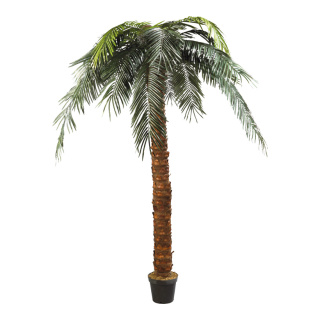 Phönix-Palme im Topf Kunststoff, Kunstseide Größe:300cm Farbe: grün/braun Spedition   #
