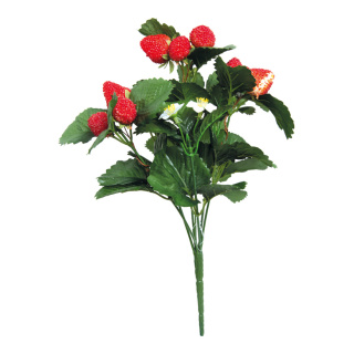 Strawberry bouquet 7-fold, with 12 strawberries and blossoms     Size: 33cm    Color: green/red