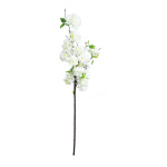 Cherry blossom twig,  artificial silk, Size:; Color:white