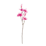 Magnolienzweig,  Größe:  Farbe: pink