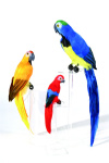 Papagei farbig sortiert, Styropor, mit Federn...