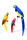Papagei 4-farbig sortiert, Styropor, mit Federn     Groesse: 9x29cm - Farbe: bunt