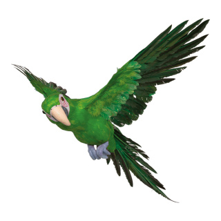 Papagei, fliegend Styropor mit Federn Größe:73x76cm Farbe: grün    #