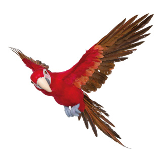 Parrot, flying styrofoam with feathers     Size: 73x76cm    Color: red