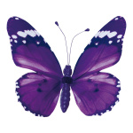 Schmetterling mit Clip,  Größe: 20x30cm, Farbe: violett