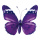 Papillon avec clip  ailes en papier corps en polystyrène Color: violet Size: 20x30cm