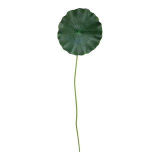 Water lily leaf with stem  - Material: foam total length ca. 90cm - Color: green - Size: Ø 30cm