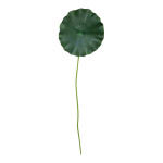 Seerosenblatt mit Stiel,  Größe: Ø 30cm, Farbe: grün