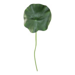 Seerosenblatt mit Stiel,  Größe: Ø 40cm, Farbe: grün