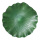 Feuille de nénufar  mousse Color: vert Size: Ø 60cm