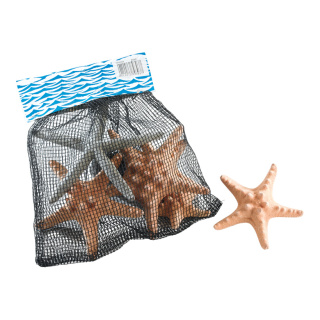 Starfish 6pcs./net, assorted, natural material     Size: 10cm    Color: natural-coloured
