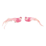 Vögel mit Clip, 2-fach sortiert, Größe: 6x26cm, Farbe: pink