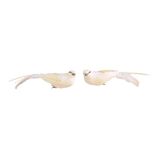 Oiseaux avec clip assorti par 2, styrofoam avec plumes     Taille: 6x26cm    Color: blanc