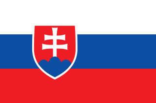 Flagge, Abmessung: 90x150cm,  Farbe: Slowakei