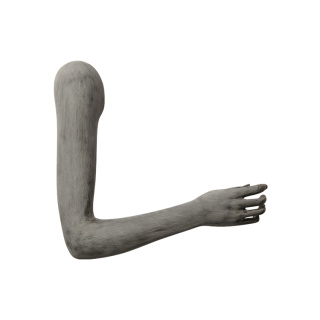 Orthopädischer Arm eines Herren zur Darstellung für Bandagen oder Schienen, Farbe ivory