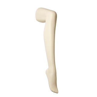 Orthopädisches Bein einer Frau zur Darstellung von Bandagen oder Schienen, Farbe ivory