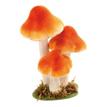 Chanterelle 3-fold - Material: paper - Color: brown/white...