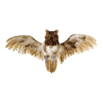 Owl flying  - Material: polyfoam with feathers - Color:...