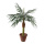 Phoenix palm in pot x8 328 leaves - Material: artificial silk PVC - Color: green - Size:  X 120cm