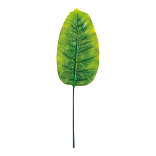 Bananenblatt Textil     Groesse: 60 cm    Farbe: grün