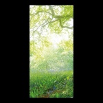 Motivdruck "grüner Baum" aus Stoff   Info:...