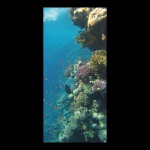 Motivdruck »Korallenriff« Stoff Größe:180x90cm Farbe:...