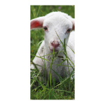Banner »Lamb« paper 180x90cm Color: white/green