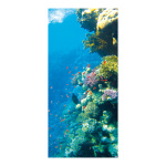 Motivdruck "Korallenriff", Papier, Größe: 180x90cm Farbe: blau/bunt   #