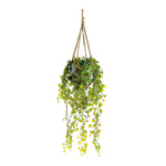 Hanging plant fabric, in clay pot     Size: 80 cm,...