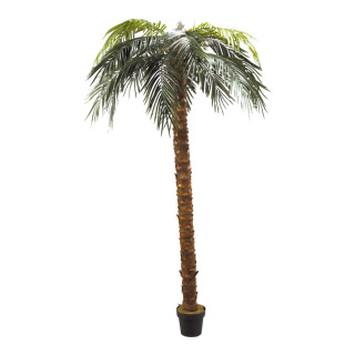 Phoenix palm in pot,  plastic, artificial silk, Size:; Color:green/brown
