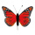 Papillon plumes  Color: orange Size: 13x20 cm