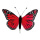 Papillon plumes     Taille: 13x20 cm    Color: rouge/pink