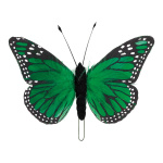 Schmetterling Federn, Größe: 13x20 cm Farbe: grün   #
