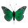 Papillon plumes     Taille: 13x20 cm    Color: vert