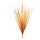 Schilfgrasstrauß 5-fach, Kunststoff     Groesse:60cm    Farbe:braun